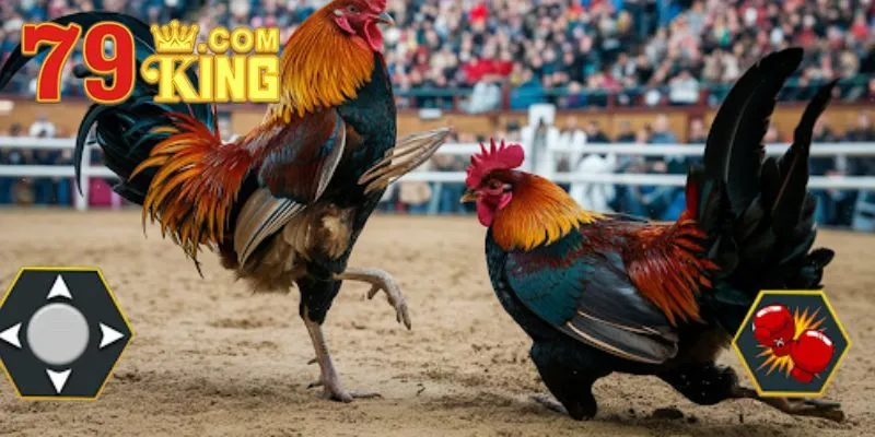 Lý do nơi đây được nhiều người ưa thích